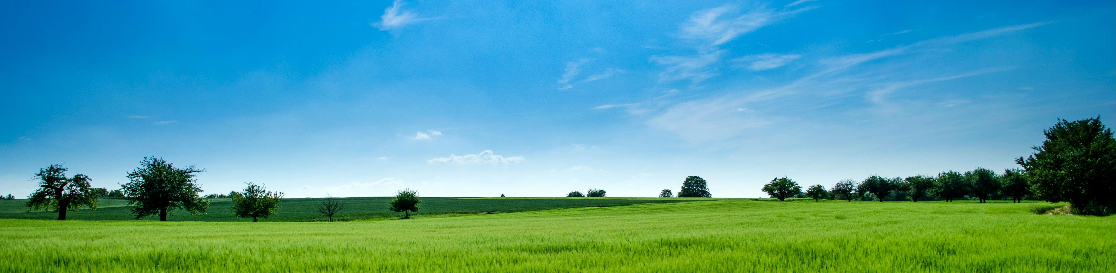 Kredyt na zakup ziemi